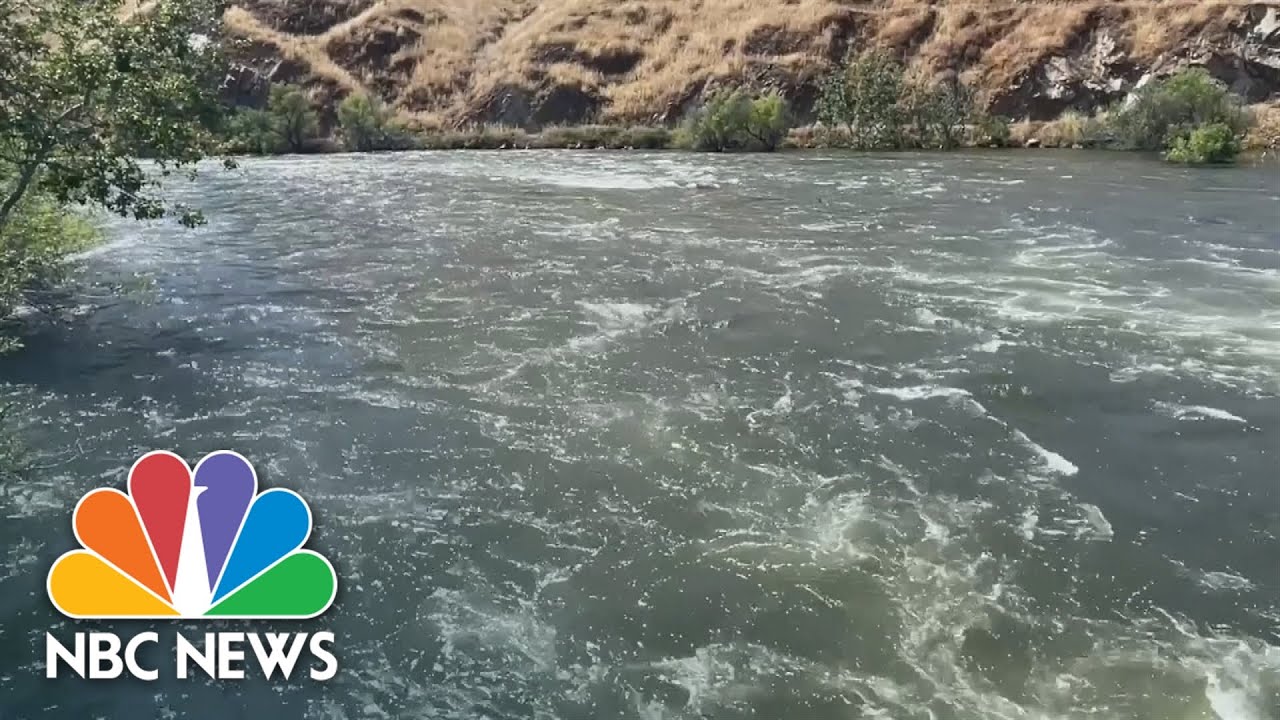 One child dead, one missing after falling into California river