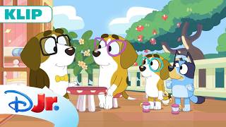 🍵 Herbatkowe przyjęcie | Blue [EKSKLUZYWNY SHORT] | Disney Junior Polska