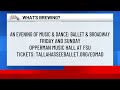 What's Brewing - Ballet and Broadway