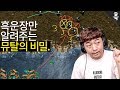 뮤탈에 대해 이 정도로 설명해주는 유튜브가 있었나요?