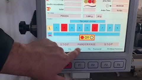 Sorma G09 Multihead weigher