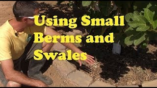 Watering With Small Berms and Swales