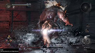 Nioh- Onryoki No Damage