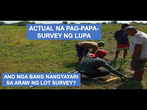 Video: Ano ang mga panloob na proseso ng lupa?