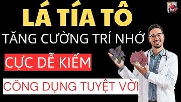 10 Công Dụng Tuyệt Vời Của Lá Tía Tô - Đối với Sức Khoẻ Người Già
