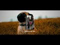 Movie Color LUT pack | CapCut, After Effects, Premiere Pro, Fcp, DaVinci Resolve and More