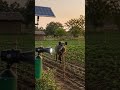 जंगली जानवरों को भगाने का स्मार्ट देसी जुगाड़ | Smart Desi Jugaad to Protect Crops from Wild Animals