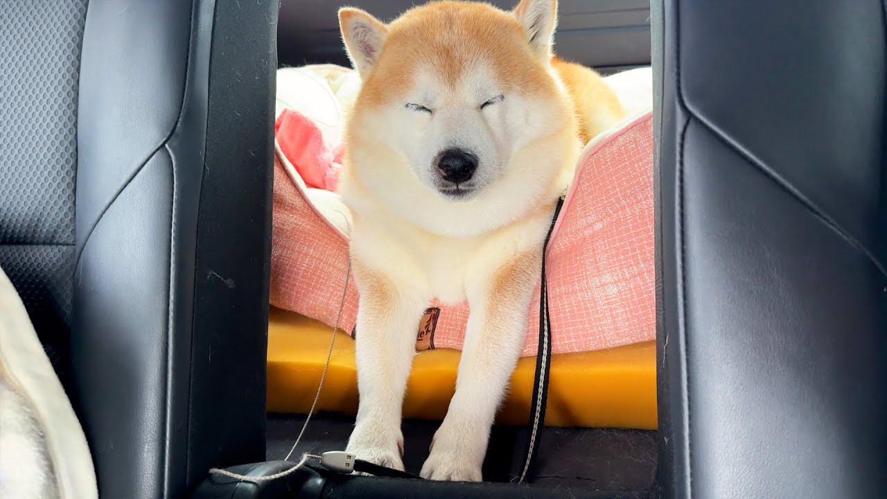 In the seat behind me was Superman during his break. - YouTube