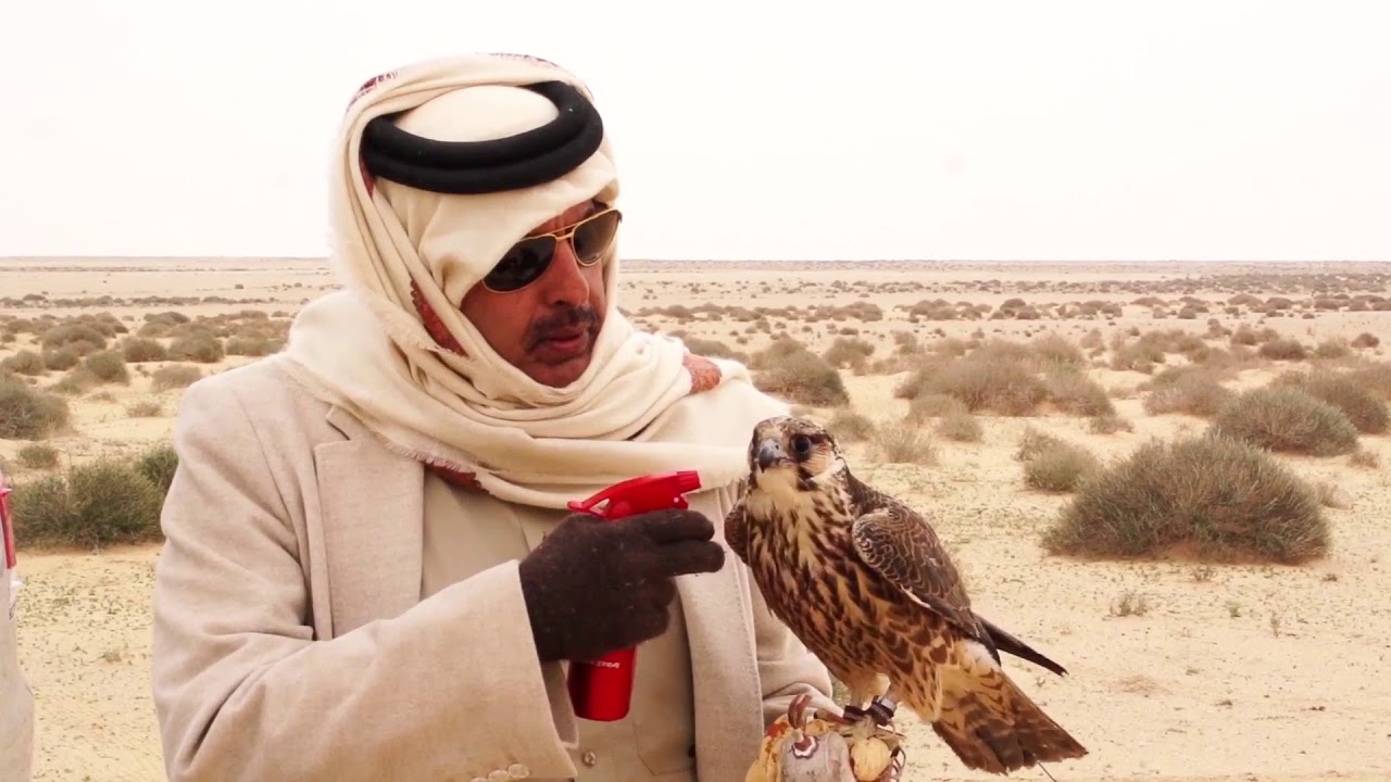 سق ياسعد|| اداء: عبدالعزيز العليوي ، (من مقناص العراق2016)