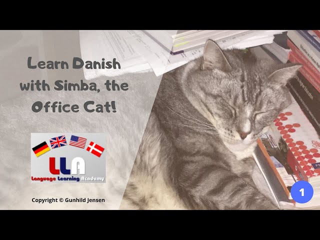 Learn Danish with Simba the Office Cat! Part 1!