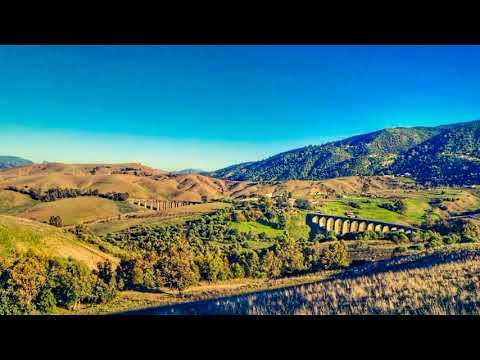 Chergui Nek Macci D Varrani 