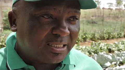 Voices from under a dark cloud  Towards a Just Transition in the coalfields of South Africa