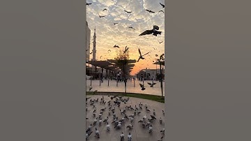 اترك أثر طيباً تؤجر عليه #سورة_الكهف #القارىء_اسلام_صبحي