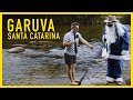 Garuva  santa catarina