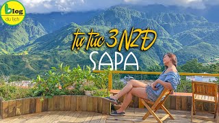 Danh sách 27 review du lịch sapa hot nhất hiện nay