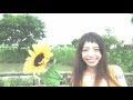 ヒマワリ