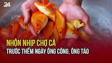 Nhộn nhịp chợ cá trước thềm ngày ông Công, ông Táo | VTV24