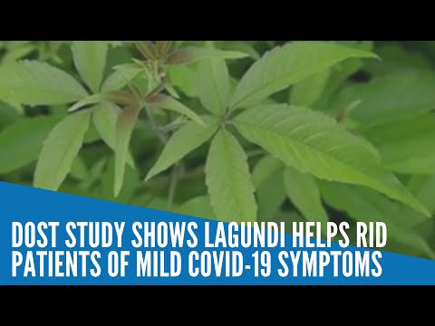 DOST study shows lagundi helps rid patients of mild COVID-19 symptoms