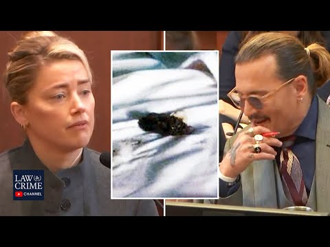 Amber Heard Blames Dogs For Pooping on Johnny Depp's Bed During Her Testimony