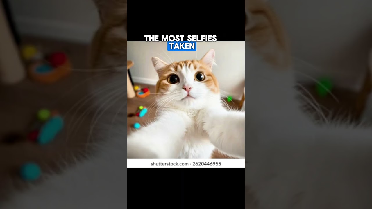 4 World records that you can probably beat in home!! 