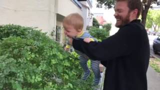 Man-Cubs Belly Laugh