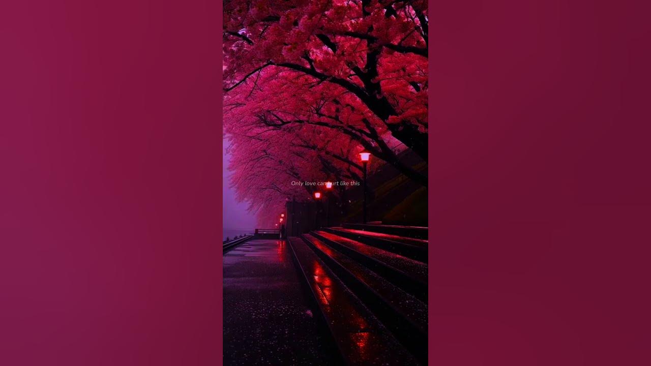 Only Love Can Hurt Like This - Paloma Faith | lyrics | aesthetic | whatsapp Status | slowed | speed Only Love Can Hurt Like This - Paloma Faith | lyrics | aesthetic | whatsapp Status | slowed | speed