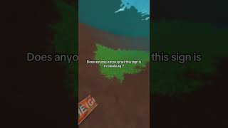 what is it?? #roblox #bloxburg #bloxburgupdate #relatable #fyp