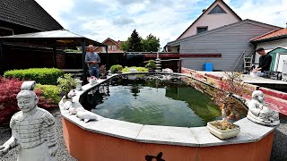 Modern Koi Blog #4533 - Gabis und Dirks hochgemauerter Teich mit superhartem Wasser
