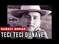 Garavi Sokak - Teci Teci Dunave - (Official audio) HD