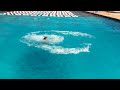 IMG_0016.MOV