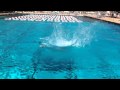IMG_0016.MOV