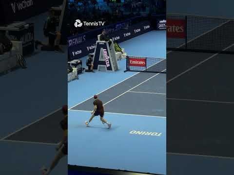 Absolute Cinema 🎬