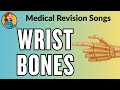 Carpal Bones Wrist Song | Medical Revision Songs