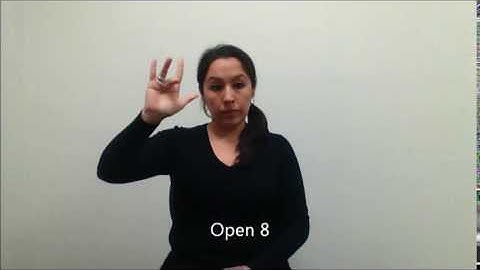Handshape Open 8 Captioned