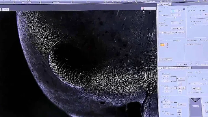 The NEW Hitachi SU3500 Premium Variable Pressure SEM