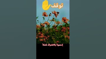 #تلاوة_خاشعة #اكسبلور #قرآن #المصحف #تيك_توك #حالات_واتس #duet #مصر #راحة_نفسية #yasseraldossary