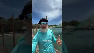 If you’re cruising to Roatan and looking for one of the BEST excursions to do... save this one!