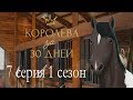 Королева за 30 Дней 7 серия Я КУПИЛА ЛОШАДЬ (1 сезон) Королева на скачках Клуб романтики