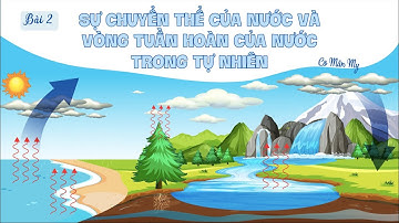 Bài 2. Sự chuyển thể của nước và vòng tuần hoàn của nước trong tự nhiên (p2) - KH4 - KNTT - OLM.VN