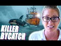 Orcas were caught in fishing nets  marine biologist reacts