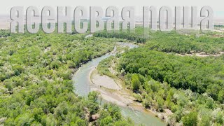 Ясеневая роща на реке Чарын, в сторону с. Чунджа от Алматы