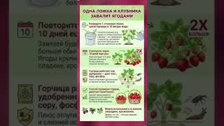#огород #сад #садоводство