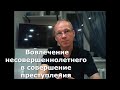 Иж Адвокат Пастухов. Вовлечение несовершеннолетнего в совершение преступления.