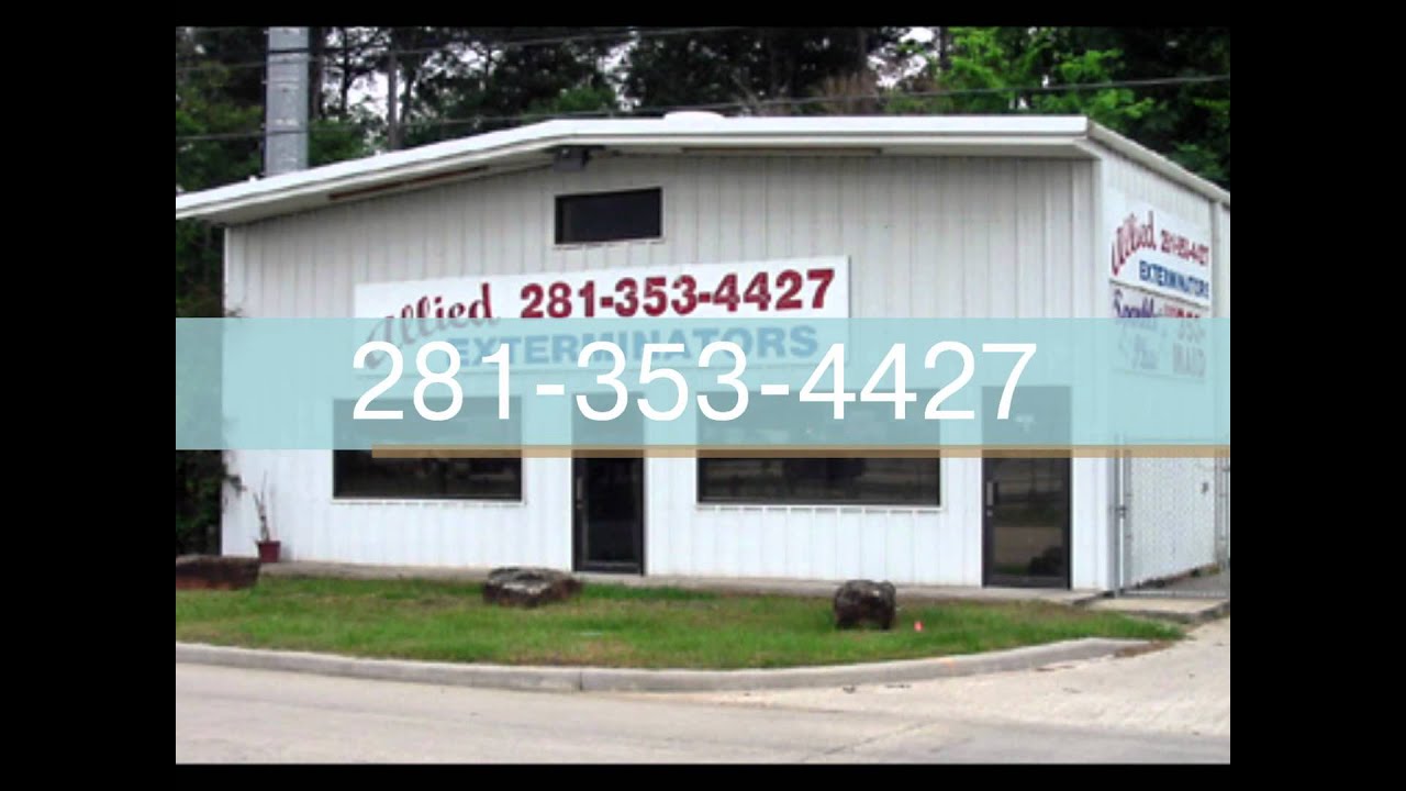 pest control spring tx pest control spring tx expert youtube pest control spring tx pest control spring tx expert youtube