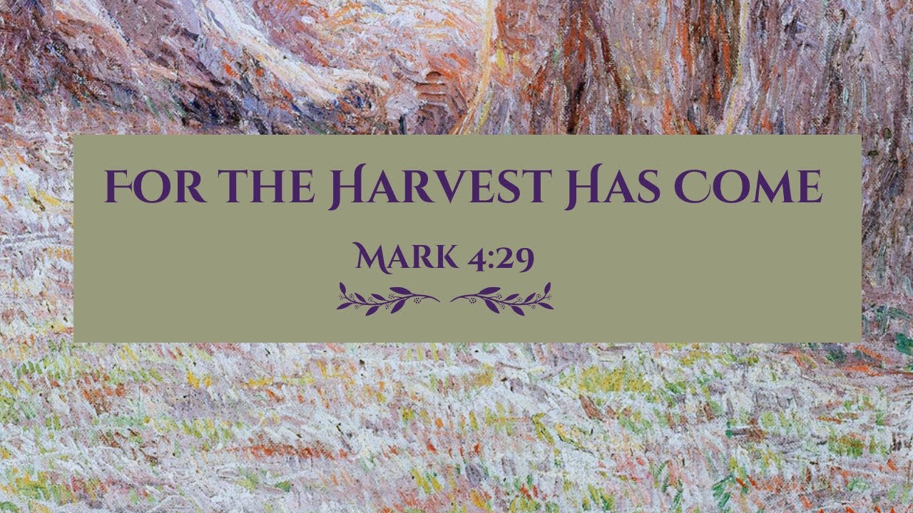 Sunday Mass - 11th Sunday in Ordinary Time | June 16, 2024 - YouTube