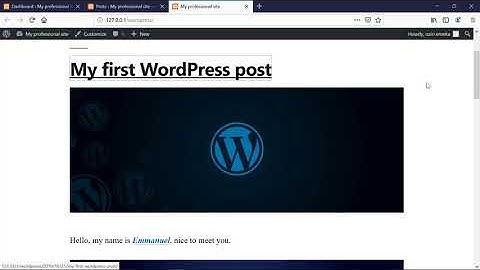 How to Create a New Post in WordPress - SEC 3   SESSION 17