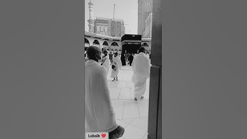 اليوم جمعة ... اقرأ سورة الكهف