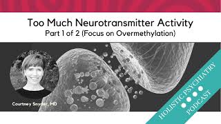 Too Much Neurotransmitter Activity (1 of 2) Focus on Overmethylation