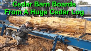 Cutting Cedar Barn Boards by S&J Forest Products 1,761 views 1 year ago 14 minutes, 11 seconds