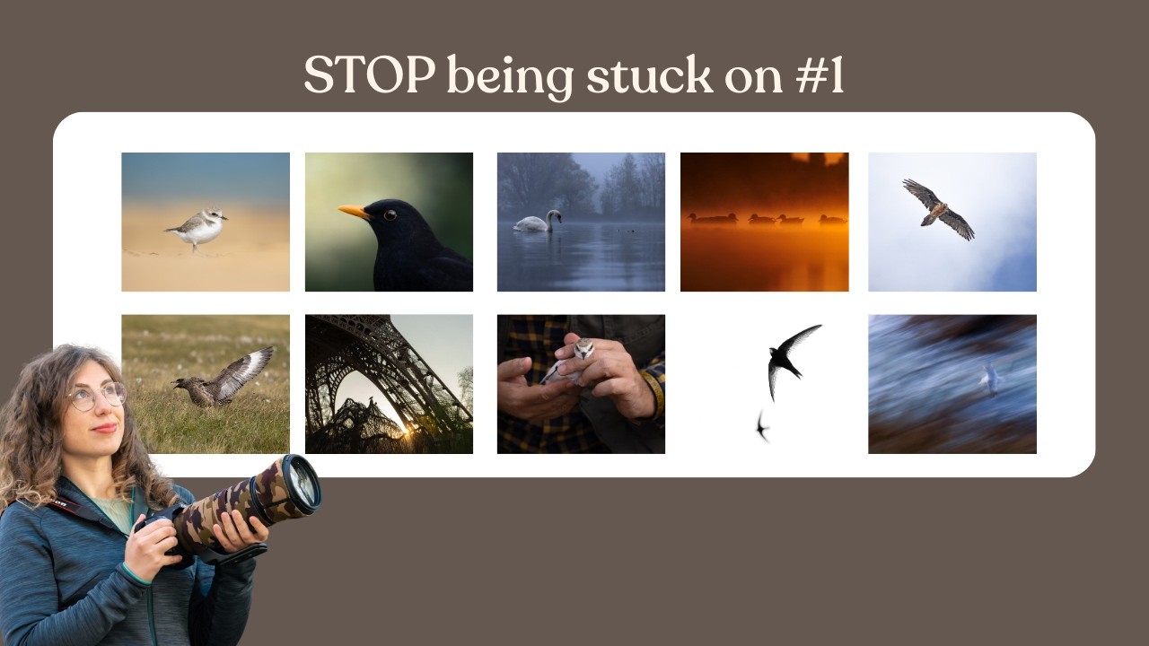 I Was Stuck Taking the Same Bird Photos Until I Learned These 10 Types